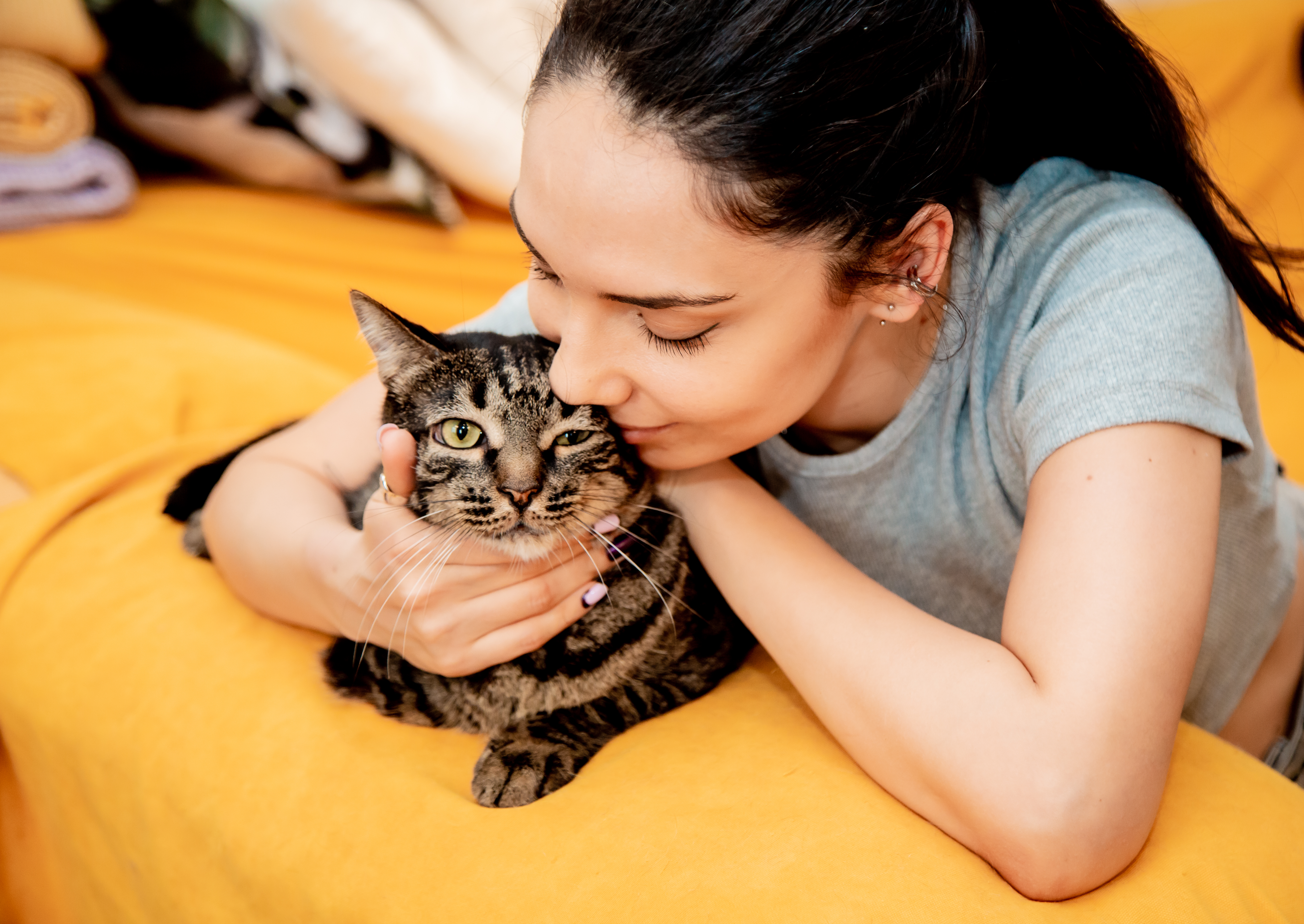 India’s newest pet parents are changing what’s on the menu